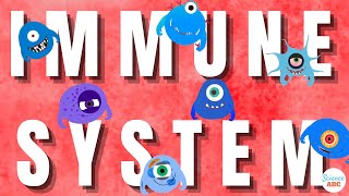 Immune System Innate and Adaptive Immunity Explained [upl. by Whiney367]