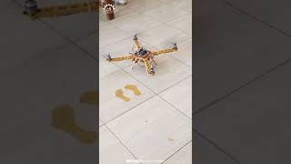 Embedded Systems Projects  Tebo Fernas Drone [upl. by Tailor390]