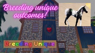 Breeding unique outcomes  Wild Horse Islands [upl. by Akinnor162]