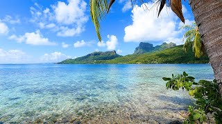 French Polynesia 3 Hours of Tropical Island Ambience For Relaxation [upl. by Thoer]