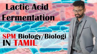 SPM BIOLOGY Lactic Acid Fermentation I EXPLAIN IN TAMIL [upl. by Reinal]