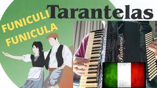 Funiculi Funicula ACCORDION Acordeon Sanfona INSTRUMENTAL Fisarmonica [upl. by Solis401]