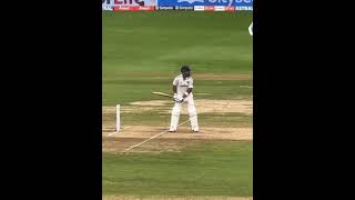 Virat Kohlis cover drive footage from stands 🐐🔥 [upl. by Aneryc307]