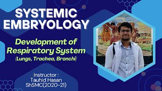 Development of Respiratory System with Clinical Anomalies  Hand drawn Visualization in Bangla [upl. by Atteynek]