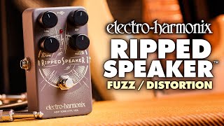 ElectroHarmonix Ripped Speaker Fuzz Pedal EHX Demo by TOM BURDA [upl. by Linders270]