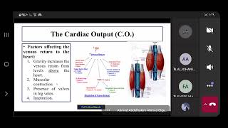 NursingPhysiology of CVS Prof Dr Ahmed Elgendy Part3 [upl. by Akeme]