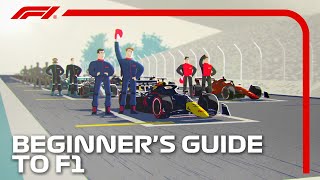 Beginners Guide to F1 [upl. by Alwitt770]