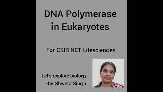 DNA Polymerases in Eukaryotes Molecular Biology [upl. by Prosser268]