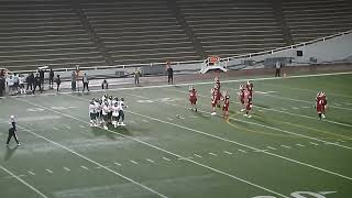 Sherbrooke Vert et Ors Bruno Sénéchals 23yard TD catch wins the game in 2nd OT vs McGill Redbirds [upl. by Grannia]