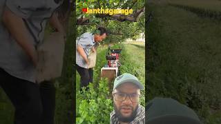 Rotavator is powerful small and also very powerful janthagarage agriculture vijayanagar [upl. by Aristotle]