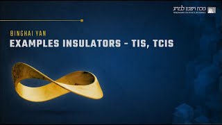 EXAMPLES INSULATORS  TIS TCIS [upl. by Sirahc]