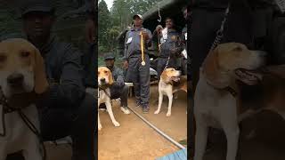 indian army dog army automobile shortvideo shorts india [upl. by Zinah]