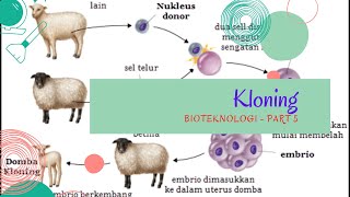 bioteknologi kloning transferinti biologisma BIOTEKNOLOGI MODERN  KLONING TRANSFER INTI [upl. by Bonacci558]