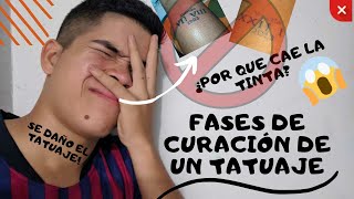 Fases Dia a Dia de un TATUAJE I ¿Como cura SE ME CAE LA TINTA😱😨 ¿Se Daño 😱😨 ESTE ES TU VIDEO [upl. by Terrene804]