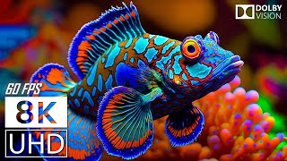 AQUARIUM 8K 60 FPS VIDEO ULTRA HD  Beautiful Coral Reef Fish  Inspiring Cinematic Music [upl. by Hare]