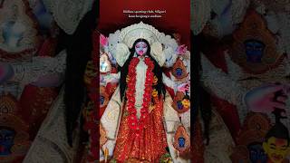 Shyama Puja 2024 Bidhan sporting club Kanchenjunga stadium gogosgallery youtubeshorts [upl. by Liponis]