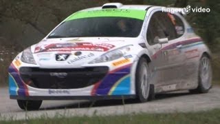 Laurent Reuche  Jean Deriaz Peugeot 207 S2000 always at the limit [upl. by Shalna]