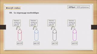 Microbiologie  taxonomie génétique Cours 2019 [upl. by Noreen]