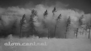 Nuclear Weapon Effects on Trees [upl. by Idak]