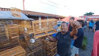 FEIRA DO CORDEIRO RECIFE PERNAMBUCO ACESSÓRIOS GAIOLAS PASSARINHO [upl. by Justen]