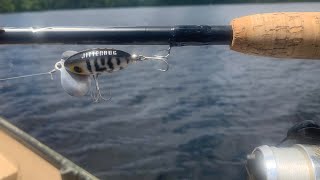 Classic Arbogast Jitterbug Fishing Big Bass [upl. by Glaser]