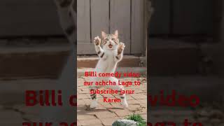 Billi comedy video aur achcha Laga to subscribe jarur Karen😀😀 [upl. by Latsryk]