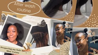 🌀 MINI TWISTS TUTORIAL  AFTER WASH ROUTINE 💦 amp TWISTING PROCESS 🌀 SOUTH AFRICAN YOUTUBER🇿🇦 [upl. by Martineau441]