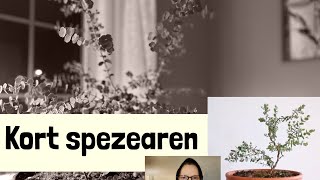 Kort spezearen [upl. by Hurlbut]