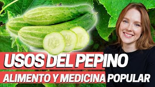 USOS MEDICINALES DEL PEPINO Cucumis sativus Cosmético natural Rejuvenecedor Plantas medicinales [upl. by Leirza584]