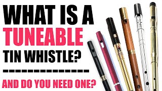 What Is A Tuneable Tin Whistle And Do You Need One [upl. by Swift]