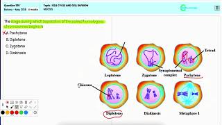 NEET 2018 Botany Q150 Understanding the Process of Meiosis and Its Importance in Genetic Variation [upl. by Trumaine]