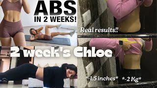 TRIED CHLOE TINGS 2 WEEK SHREDSHOCKING RESULTS 😳 MY EXPERIENCE  ADVICE  ACTUALLY WORKED [upl. by True910]