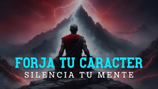 LA VERSIÓN MÁS PODEROSA DE MARCO AURELIO USALA EN TI MISMO MEDITACION GUIADA [upl. by Aicilet]