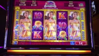 SOLSTICE CELEBRATION  Lots of slot machine bonuses [upl. by Sacci]