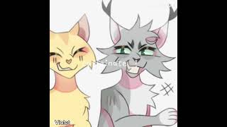 love brain heart control  Needletail  Sleekwhisker edit [upl. by Lrat]