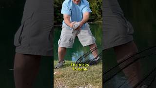 BANK Fishing For Catfish Fishing TRICKS shorts fishing [upl. by Haleeuqa]