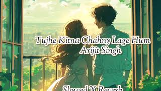 Tujhe Kitna Chahne Lage HumSlowed and ReverbArijit SinghKabir Singh movieLofi and Love Song [upl. by Enomad]