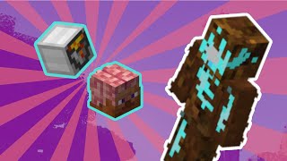 HOW TO beat mirrorverse and get BIG BRAIN talisman and TEST BUCKET talisman  Hypixel Skyblock rift [upl. by Elacim]