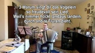 MEIN VATER WAR EIN WANDERSMANN ohne Vokal mit Text zum Mitsingen [upl. by Aiza]