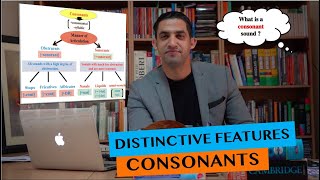 Distinctive Features of Consonant Sounds [upl. by Ethan344]