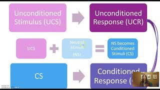 Conditioned vs Unconditioned Stimulus and Response [upl. by Ahola]