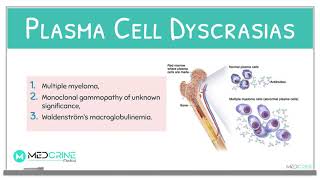 Plasma Cell DisordersDyscrasias  Multiple Myeloma Pathology Review [upl. by Tikna]