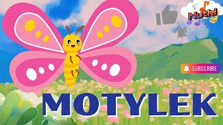 Piosenki dla dzieci MOTYLEK 🦋 [upl. by Anilek]