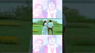 Telugu super hit melody chiranjeevi suhashini youtubeshorts telugushorts viralshorts music [upl. by Shayna]