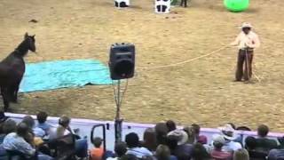 Parelli Natural Horse Training Tip  Horse Confidence [upl. by Nehgem676]