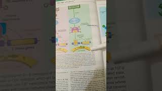 Pathogenesis of RB gens in carcinogenesis  role of RB gene cell cycle regulation robbinspathology [upl. by Darnell]