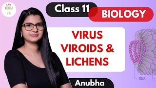 Class 11  Virus Viroids amp Lichens  NCERT [upl. by Dreddy715]