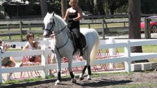 Lipizzan Training Session May 9 2009 [upl. by Adlesirc942]