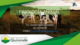 FISIOLOGÍA ANIMAL [upl. by Reemas]