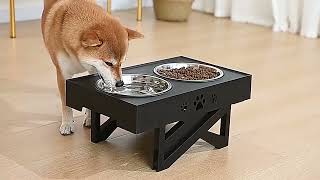 adjustable raised dog bowl stand elevated feeder dogbowl [upl. by Lexerd]